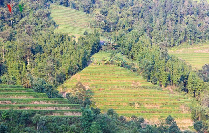 Terraced paddy fields in Tung San Commune - ảnh 2